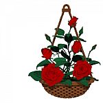 Isolated Hanging Basket Of Many Roses Stock Photo