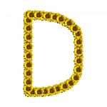 Isolated Sunflower Alphabet D Stock Photo