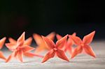 Ixora Flower Close Up Isolate In Black Stock Photo