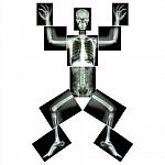 Jigsaw Human X-ray ( Whole Body : Head Skull Face Neck Spine Shoulder Arm Elbow Joint Forearm Wrist Hand Finger Chest Thorax Heart Lung Rib Abdomen Back Pelvis Hip Thigh Knee Leg Ankle Foot Heel Toe ) Stock Photo