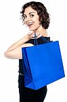 Joyous Woman Posing With A Shopping Bag Stock Photo