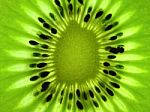 Kiwi Fruit Backlit Stock Photo