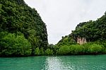 Koh Hong Island Krabi In Thailand Forest In Sea Stock Photo