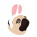 Lady Dog Rabbit On White Background Stock Photo