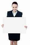 Lady Executive Showing Blank Board Stock Photo