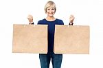 Lady Holding Paper Shopping Bags Stock Photo