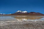 Laguna Canapa In Altiplano A Salt Lake, Bolivia Stock Photo