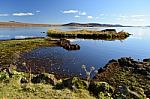 Lake At Iceland Stock Photo