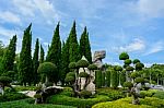 Landscaping In The Garden. Different Plants Stock Photo