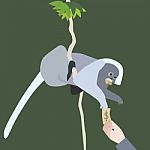 Leaf Monkey Stock Photo