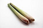 Lemon Grass Stock Photo