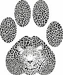 Leopard Footprint Stock Photo