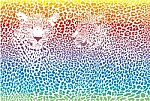 Leopard Pattern Stock Photo