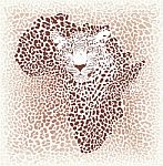 Leopard Seamless Pattern,  Illustration Background With Africa Map Stock Photo