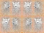 Leopard Texture Pattern With Head Stock Photo