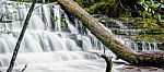 Liffey Falls In The Midlands Region, Tasmania Stock Photo