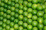 Limes Stock Photo