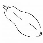 Line Drawing Of Papaya -simple Line Stock Photo