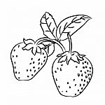 Line Drawing Of Strawberry -simple Line Stock Photo