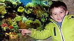 Little Boy In The Aquarium Stock Photo