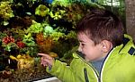 Little Boy In The Aquarium Stock Photo