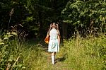 Little Girl Goes To The Forest Stock Photo