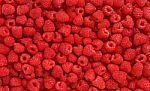 Lots Of Raspberries Stock Photo