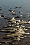 Low Tide Stock Photo