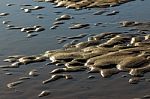 Low Tide Stock Photo