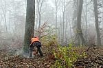 Lumberjack Stock Photo