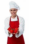 Male Chef Hands Showing Tomatoes Stock Photo