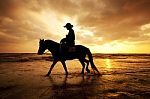 Man And Horse On The Beach With Sunset Stock Photo