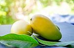 Mango Fruit And Mango Leaves On Dark Table And Wooden Floor Stock Photo