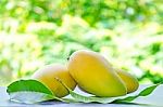 Mango Fruit For Isolated Stock Photo