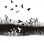 Meadow And Crows Stock Photo