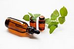 Melissa Lemon Balm Essential Oil With Fresh Leaves Stock Photo