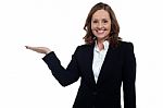 Middle Aged Corporate Woman Showing Copy Space Stock Photo