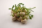 Miniature Turnips Stock Photo