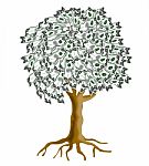 Money Tree Stock Photo