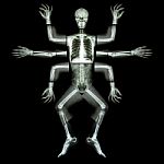 Monster Have Many Arm. (x-ray Whole Body : Head Neck Shoulder Arm Forearm Elbow Wrist Hand Digit Thorax Rib Lung Heart Spine Abdomen Pelvic Hip Thigh Leg Knee Ankle Heel Foot) Stock Photo