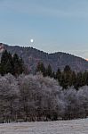 Moon Rising On A Frosty Morning Stock Photo