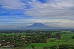 Morning Merapi Stock Photo