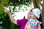 Mother And Daughter In The Park Stock Photo