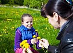 Mother Weaves A Wreath Of Dandelions Stock Photo