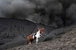 Mount Bromo Stock Photo