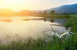 Mount Warning River Sugar Cane And Sun Stock Photo