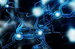 Neuron Stock Photo