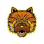 Norwich Terrier Mascot Front Stock Photo