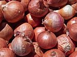 Onions Stock Photo