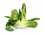 Organic Bok Choy Isolated On White Background Stock Photo